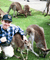 Brisbane