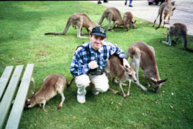 Klappar kngurus i Currumbin Sanctuary