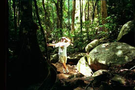 Ovan: Regnskog p n Fitzroy Island