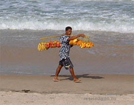 brasilien