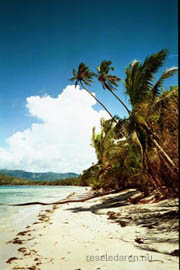 fiji