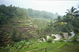 indonesien