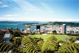 Wellington