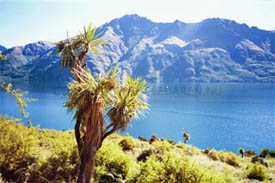 Vy strax utanfr Queenstown ver 
sjn Lake Wakatipu