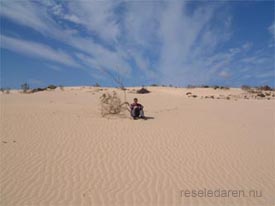 Sanddyner vid El Jable, norra delen av ön