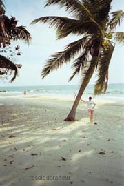 Hrlig strand
