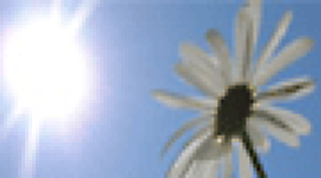 solskydd