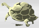 sköldpaddan