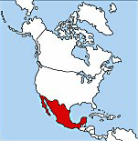mexicos placering i vrlden