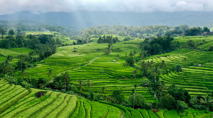 Bali